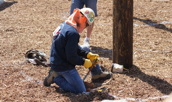 lalinemanrodeo.ladwp.com